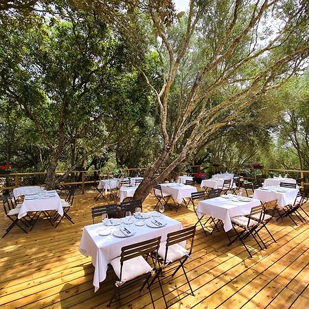 Agroturismo Santa Mariana 알라이오르 외부 사진