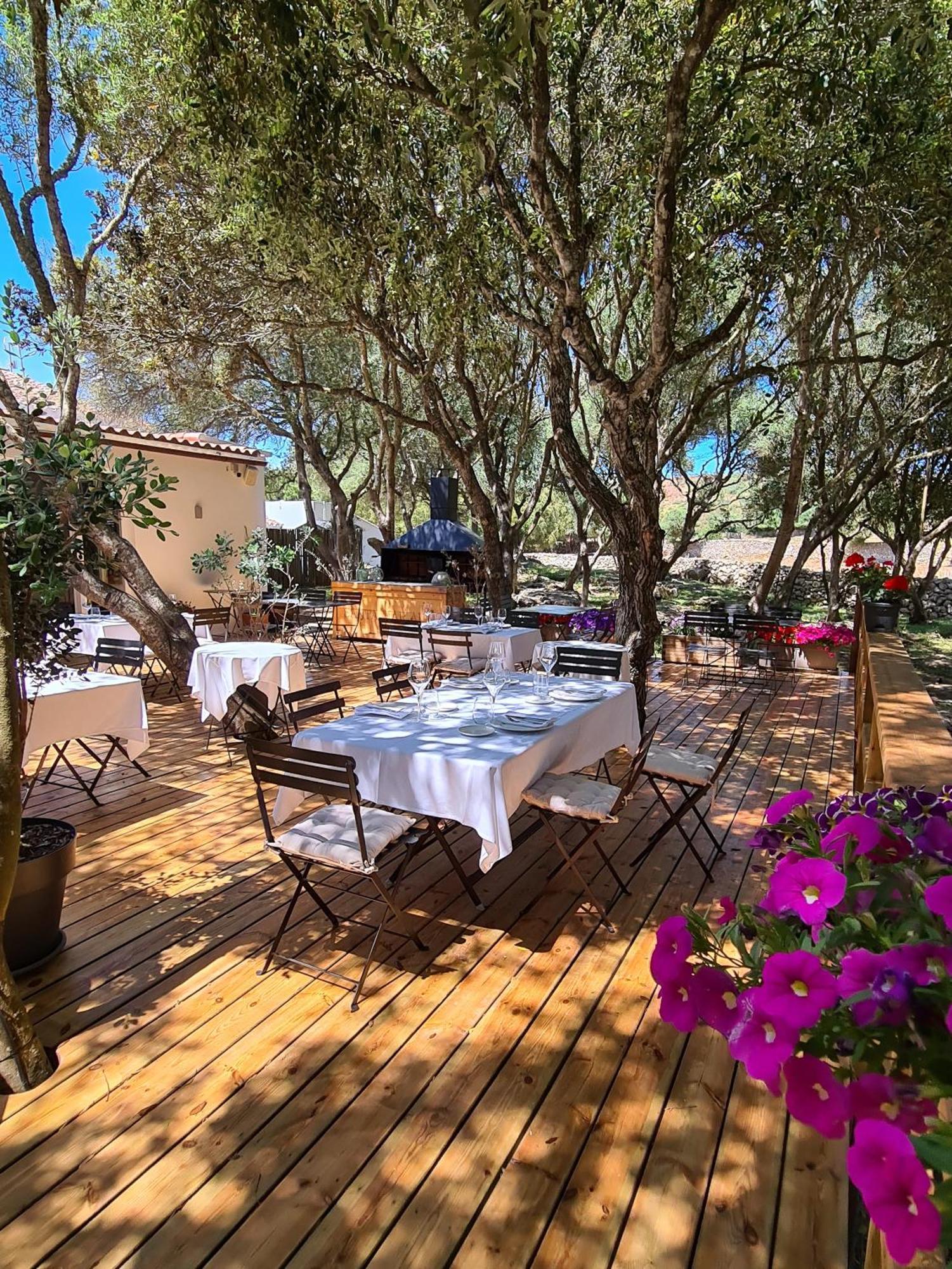 Agroturismo Santa Mariana 알라이오르 외부 사진