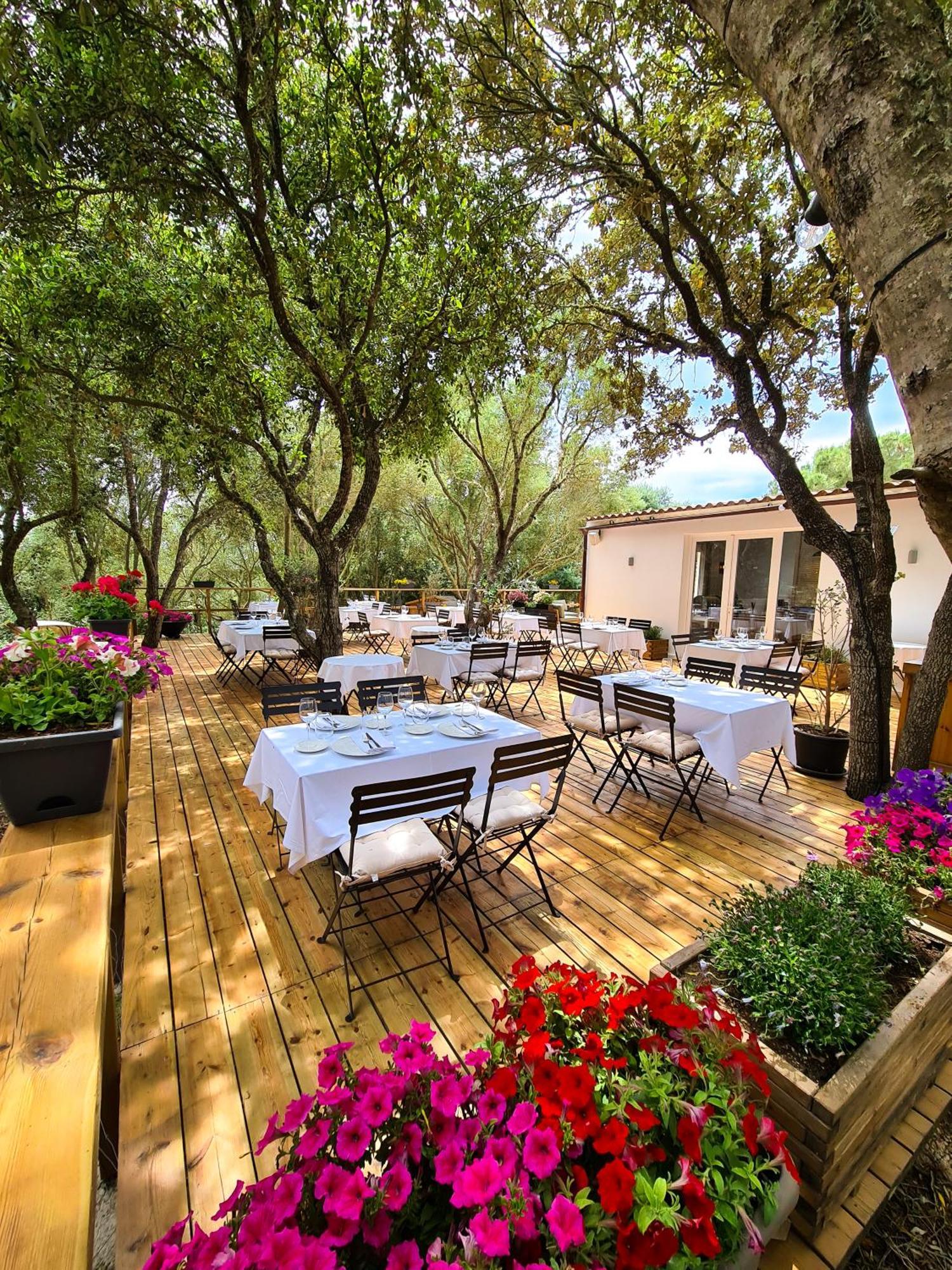Agroturismo Santa Mariana 알라이오르 외부 사진