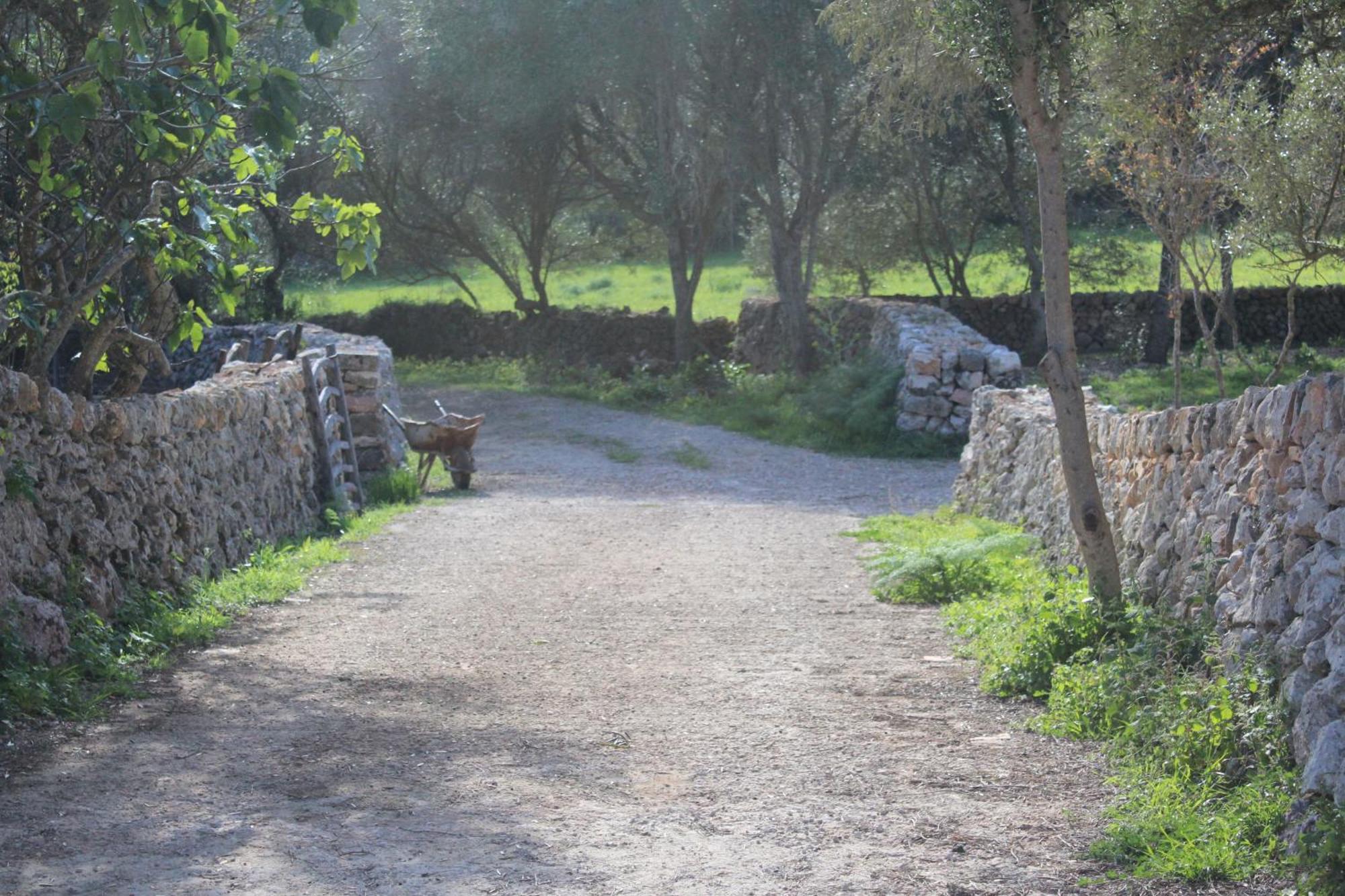 Agroturismo Santa Mariana 알라이오르 외부 사진